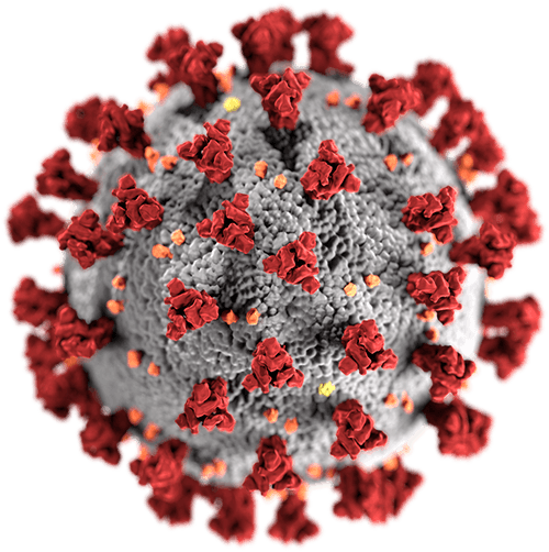 covid 19 cell